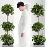 晨雾 早春透视效果有仙气儿的薄款潮流风衣 山谷少年原创男装