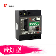 D牌家用漏电断路器DZL18 20A开关保护器DZ18L 20A带灯型老型包邮