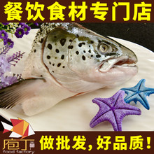 进口海鲜新鲜冷冻三文鱼头烤三文鱼头鱼头汤烧烤鱼头550-650克/个