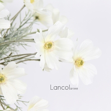 假花绢花 样板间装 仿真花白色波斯菊 饰花 家居软装 Lancol蓝可