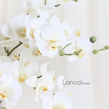 Lancol中式法式仿真花 高档白色手感胶片蝴蝶兰 客厅样板间装饰花
