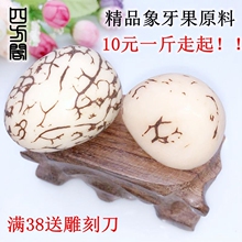 天然象牙果原籽雕刻原料大中小果核雕原果风化白果黄果按斤超大果