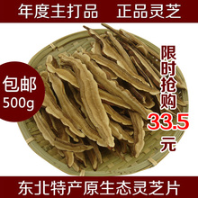 灵芝片切片 特级灵芝片500g 包邮 东北长白山特产野生紫灵芝 正品