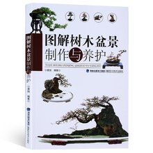 图解树木盆景制作与养护 盆景书籍养花图书大全树木盆景造型设计书栽培技术入门教程中小型花卉盆景制作教材技艺图解家庭园艺 正版