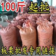 迁西313板栗子批糖炒栗子专用发货 2018年新货