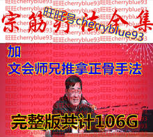 周嘉荣宗筋疗法落脏观点手法视频加文会师兄推拿正骨手法共计106G