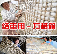蚕宝宝方格簇纸簇干燥簇结茧吐丝纸格簇结茧网养桑蚕工具重复使用