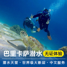 菲律宾薄荷岛出海游无证体验深潜巴里卡萨潜水专业潜导含酒店接送