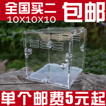 全国 包邮 蜘蛛幼体饲养盒蝎子蜈蚣宠物箱 亚克力蜘蛛盒10x10x10