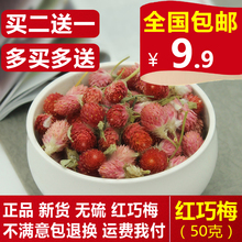 正品 中药材 可配千日红花茶 50g 花草茶 特级红巧梅花茶 红巧梅