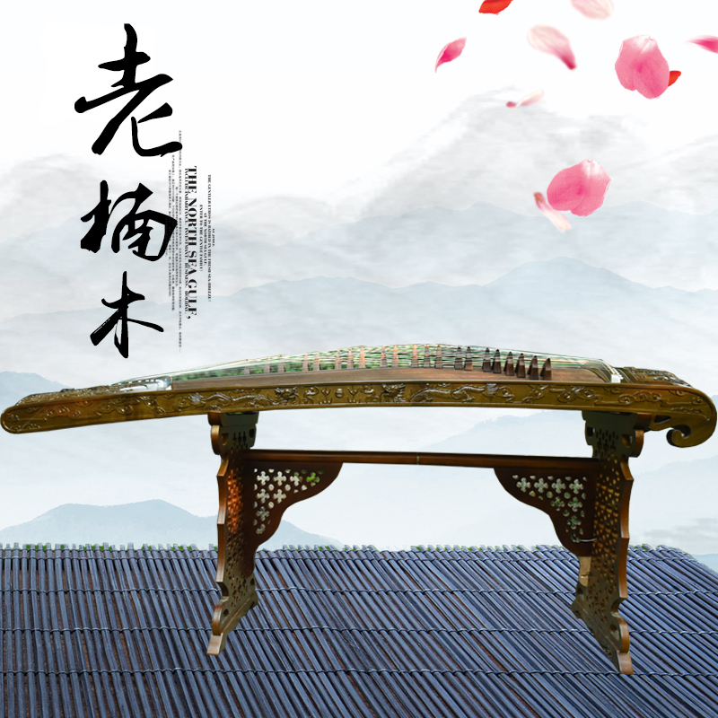 老楠木收藏专业古筝手工古筝入门初学古筝雕刻龙筝初学者实木雕龙
