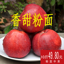 新鲜花牛红星苹果香甜粉面10斤带箱装面孕妇水果宝宝可刮泥