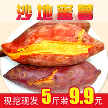 板栗糖心红薯新鲜农家自种新鲜5斤番薯地瓜沙地现挖小山芋非10斤