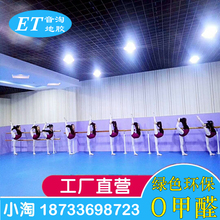 舞蹈房专用pvc塑胶地板室内防滑幼儿园地垫早教专业舞蹈教室地胶