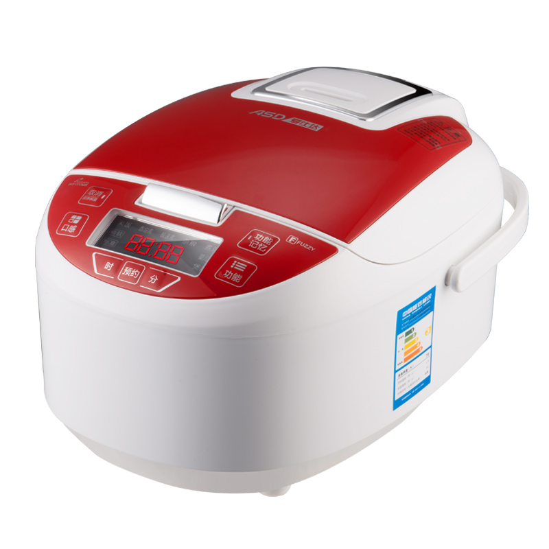 ���˴�緹��AR-F5060E