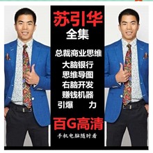 企业管理 2019苏引华视频全集 总裁商业思维导图大脑银行教程课程