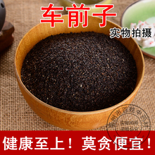 中药材 一级车前子籽野生车前子茶纯天然车前草种子非同仁堂500克