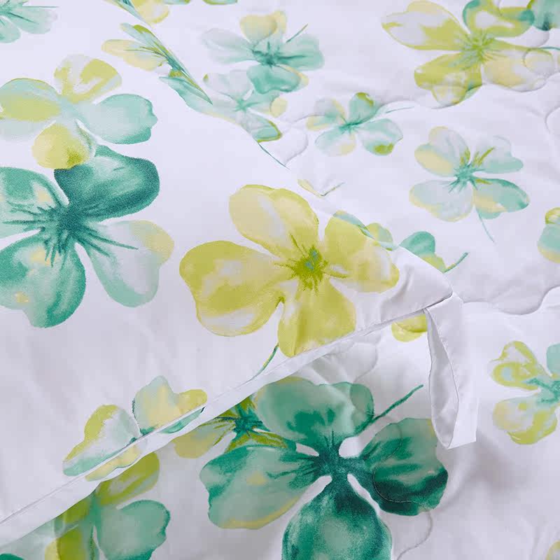 ������˿����