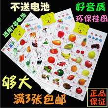 婴儿宝宝看图识字发声挂图儿童发音图 七彩阳光早教启蒙有声挂图