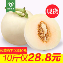 香瓜哈密瓜新鲜甜瓜批发 包邮 陕西阎良甜瓜10斤水果新鲜 升森水果