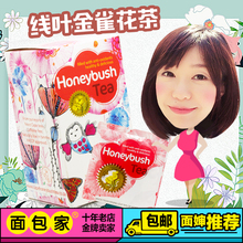 Tea 南非国宝线叶金雀花草茶哺乳期下奶茶催奶汤催乳茶 Honeybush
