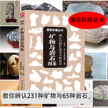 旅游携带书 教你辨认231种矿物与65种岩石 旅行指南 资源 地形 时尚 详细地图 生态环境 科普读物 生活 矿物与岩石图鉴 矿石鉴定书