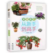 实用栽培盆景园艺花艺书籍教程 室内植物盆栽花卉养殖大全 四季养花书籍种花图书大全 花卉种植技术书籍 家庭养花从新手到高手