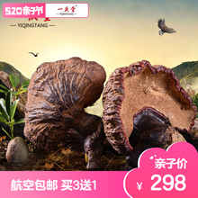 航空包邮 一庆堂野生灵芝长白山整枝木灵芝切片 野生紫灵芝片林芝