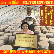 林芝富硒头道正品 新年礼品非灵芝粉 新粉龙明宝龙泉赤灵芝孢子粉