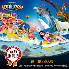 通票 夏威夷沙滩冲浪馆 沈阳极地海洋世界景区 皇家海洋乐园门票