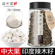 辣木籽中大果印度特级天然纯野生食用新辣木种子进口买3送2共500g