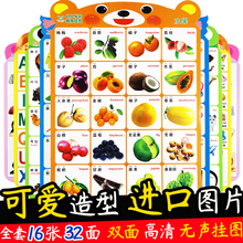 双面宝宝海报婴幼儿童新生婴儿贴画胎教启蒙图片画报墙画早教墙贴