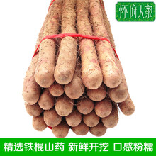 怀府人家温县铁棍淮山药精选5斤焦作新鲜铁杆怀山约棒河南土特产