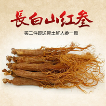无糖二件送鲜人参抚松人参150g 长白山红参长白山人参