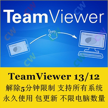 破解版突破5分钟无限重置ID永久使用绿色免安装 teamviewer13
