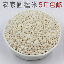 包粽子 包邮 5斤 江米 糯米 农家自产圆粒糯米 做酒酿