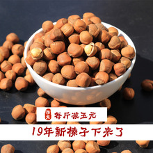 东北特产野生小榛子新鲜榛子铁岭榛子新炒 包邮 新榛子 2019年新货