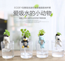 饰绿植 六一儿童节迷你桌面盆栽陶瓷小动物吸水小盆栽植物桌面小装