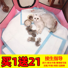 猫窝怀孕猫咪产房产箱生育窝封闭式猫产房生产用品全套狗繁殖帐篷
