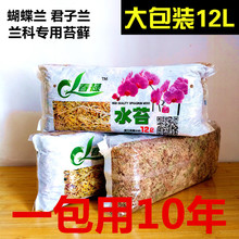 蝴蝶兰专用营养土优质无菌压缩干苔藓无土栽培介质基质保湿 水苔