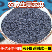 包邮 黑芝麻生黑芝麻新芝麻农家香芝麻非熟芝麻五谷杂粮粗粮250g满