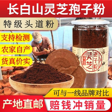 野生椴木林芝头道粉长白山破壁袍子粉500g散装 东北灵芝孢子粉正品