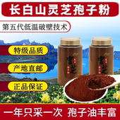 野生破壁袍子粉东北椴木林芝头道粉500g散装 长白山灵芝孢子粉正品