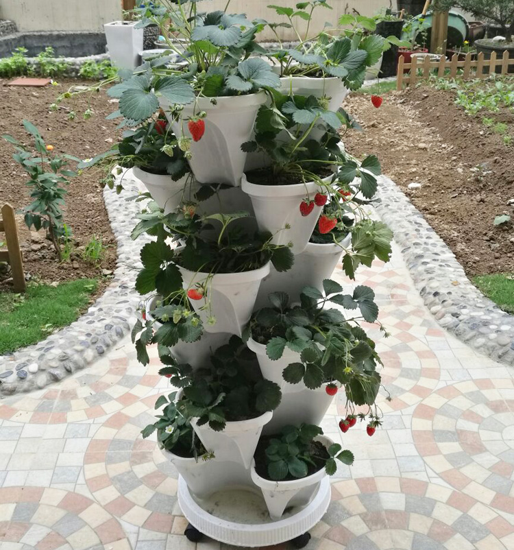 特大阳台种菜盆 立体多层蔬菜种植箱 创意组合花架塑料花盆多肉盆