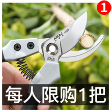 剪枝剪刀园艺剪树枝修枝剪花剪园林省力花艺工具果树修剪粗枝剪子