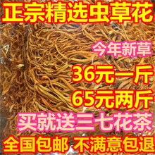 精选无硫 包邮 农家虫草花干货精选金草花500g蛹虫草袋装 虫草花正品