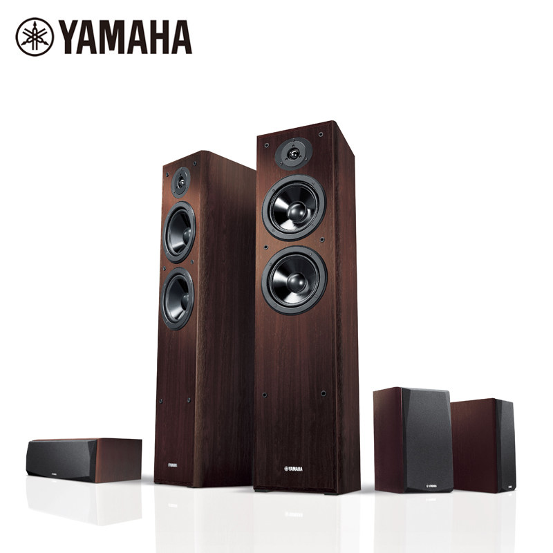 ��������ͥӰԺ5.0����NS-51