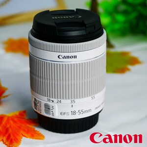 全新佳能18-55白色镜头佳能200D100DX7镜头18-55mm镜头白色