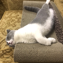 大号猫抓板瓦楞纸猫窝背靠式猫沙发猫抓板磨爪器猫爪板耐磨猫玩具