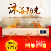 高温瑜珈专用产品智能遥控 取暖器碳晶发热踢脚线电暖 群诺电暖气